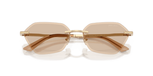 Pale Gold / Light Brown (300693)