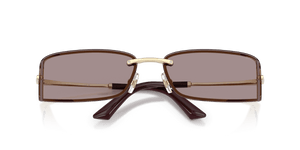 Pale Gold / Light Purple Brown (30067N)