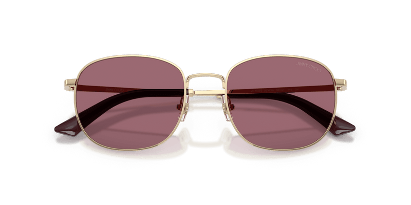 Jimmy Choo JC4025B in Pale Gold / Violet (30061A) - Alternate View