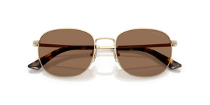 Pale Gold / Dark Brown (300673)