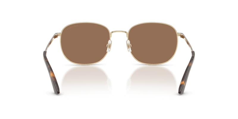Jimmy Choo JC4025B in Pale Gold / Dark Brown (300673) - Alternate View