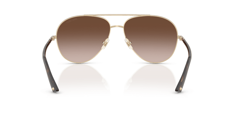 Jimmy Choo JC4026 in Pale Gold / Brown Gradient (300613) - Alternate View