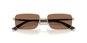 Pale Gold / Dark Brown (300673)