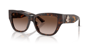 Havana / Gradient Brown