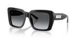 Black / Polarized Gradient Gray