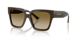 Caper Green / Brown Gradient (506013)