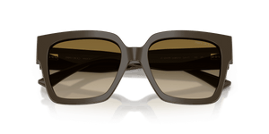 Caper Green / Brown Gradient (506013)