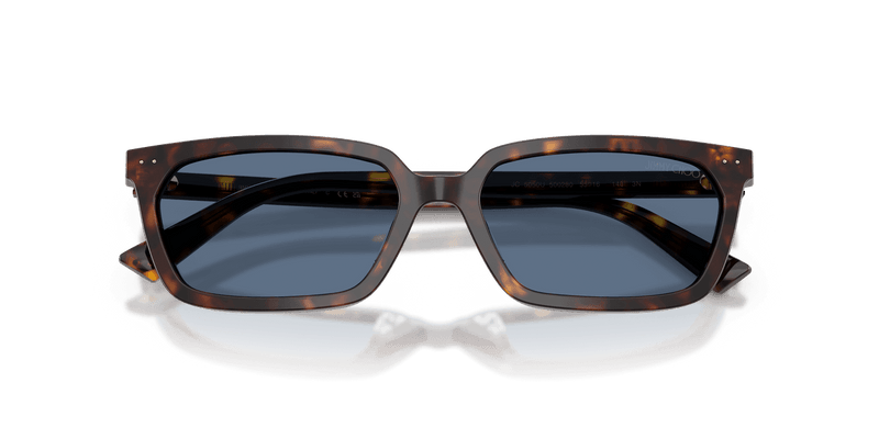 Jimmy Choo JC5050U in Havana / Blue (500280) - Alternate View