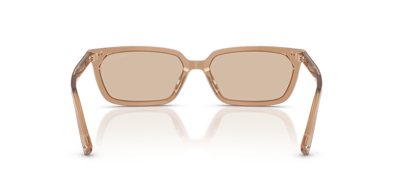 Jimmy Choo JC5050U in Transparent Tan / Light Brown (507693) - Alternate View