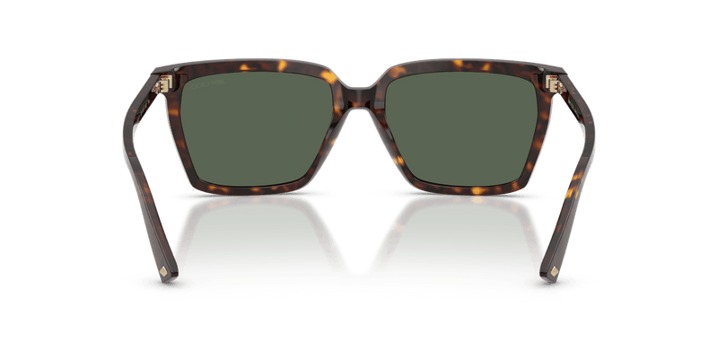 Jimmy Choo JC5051 in Havana / Dark Green - Alternate View