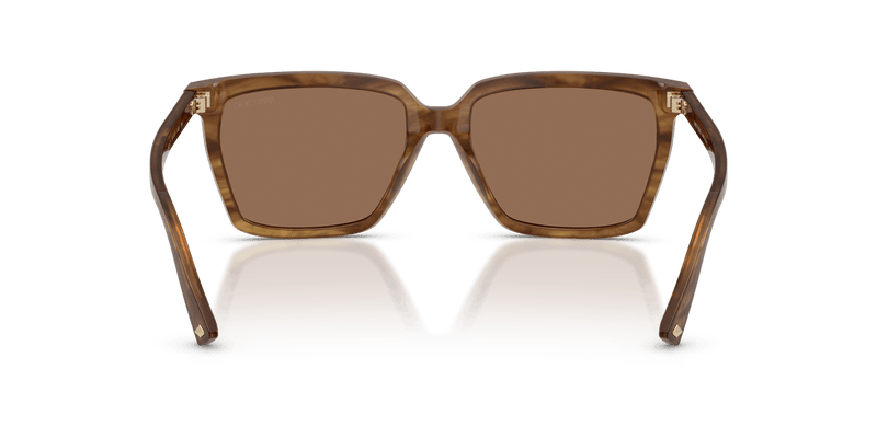Jimmy Choo JC5051 in Brown Havana / Dark Brown - Alternate View