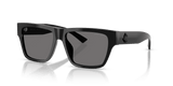 Black / Polarized Dark Gray