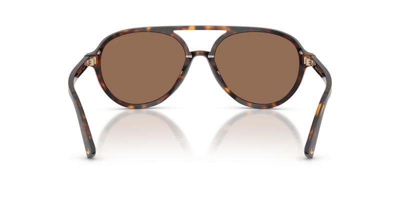 Jimmy Choo JC5055U in Havana / Dark Brown - Alternate View