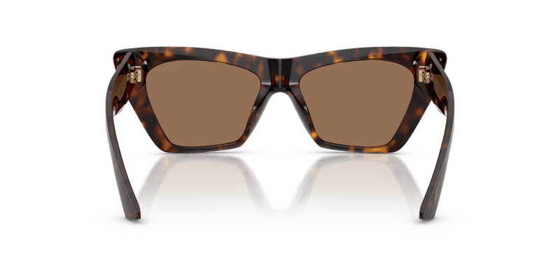 Jimmy Choo JC5062U in Havana / Dark Brown (500273) - Alternate View