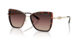 Luggage Tortoise / Brown Gradient (4031E2)