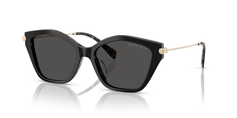 Michael Kors CATSKILLS MK2246U in Black/Amber Tortoise / Dark Grey Solid - Alternate View