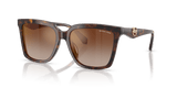 Luggage Tortoise / Brown Gradient Mirror Red