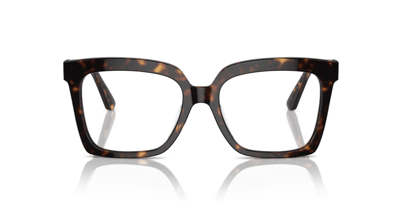 Michael Kors NASSAU MK4119U in Dark Tortoise / Demo Lens - Alternate View