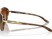 Brown Tortoise / Prizm Bronze Gradient