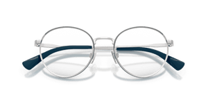 Brushed Silver (9088)