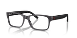 Shiny Transparent Grey / Demo Lens