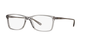 Semi-Shiny Transparent Grey / Demo Lens