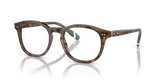 Shiny Brown Tortoise / Demo Lens