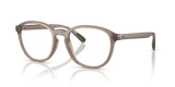 Matte Transparent Brown / Demo Lens