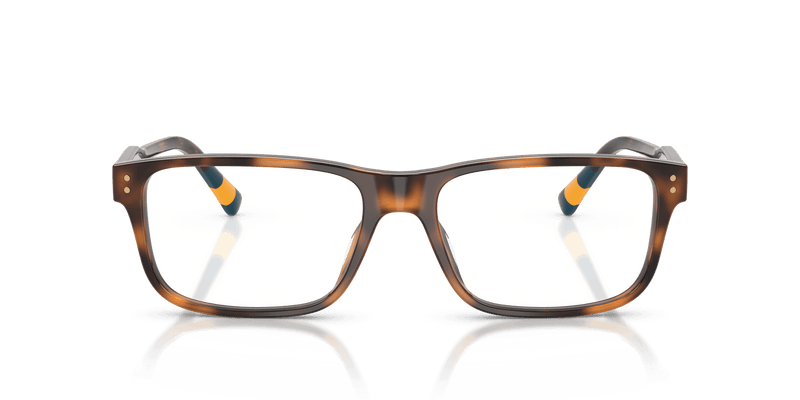 Polo Ralph Lauren PH2302U in Shiny Havana (5003) - Back View