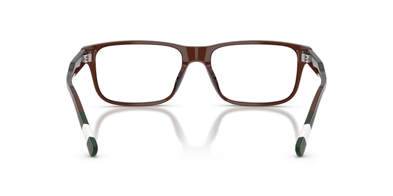 Polo Ralph Lauren PH2302U in Shiny Transparent Brown (6315) - Alternate View