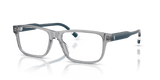 Shiny Transparent Grey (6317)