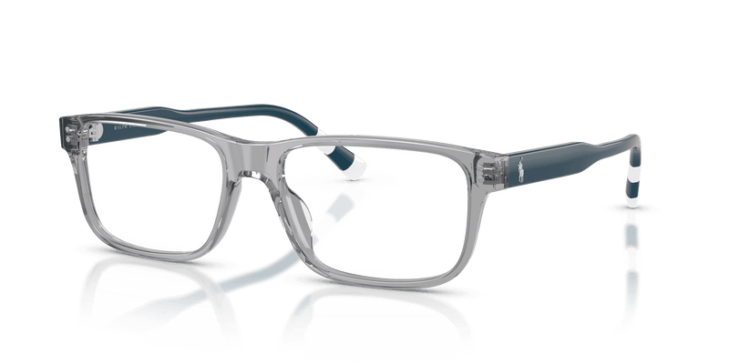 Polo Ralph Lauren PH2302U in Shiny Transparent Grey (6317) - Alternate View