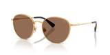 Shiny Brass / Dark Brown (940273)