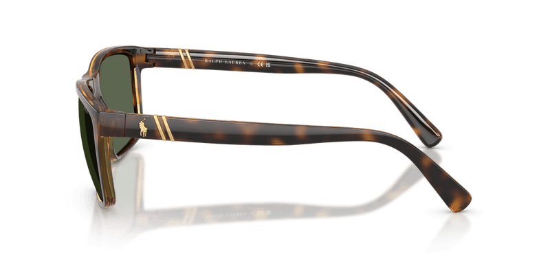 Polo Ralph Lauren PH4133 in Shiny Transparent Dark Havana / Green - Side View