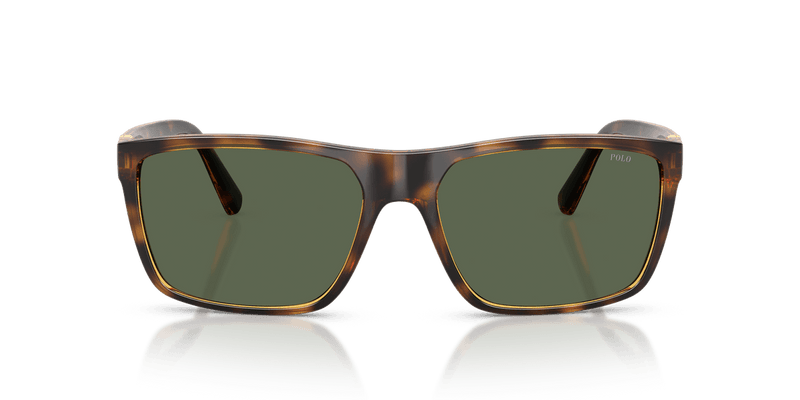 Polo Ralph Lauren PH4133 in Shiny Transparent Dark Havana / Green - Side View