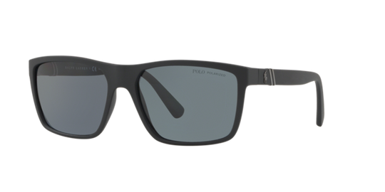 Polo Ralph Lauren PH4133 - Matte Black / Polarized Grey