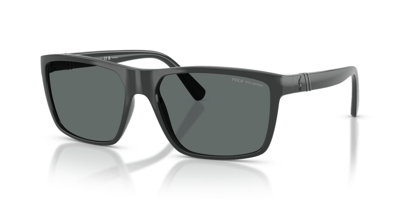 Polo Ralph Lauren PH4133 in Shiny Dark Grey / Polarized Dark Grey - Side View