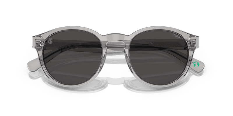 Polo Ralph Lauren PH4192 in Shiny Transparent Grey / Dark Grey (541387) - Alternate View