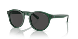 Shiny Transparent Green / Dark Grey (608487)