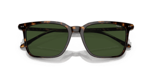 Shiny Dark Havana / Dark Green (500371)
