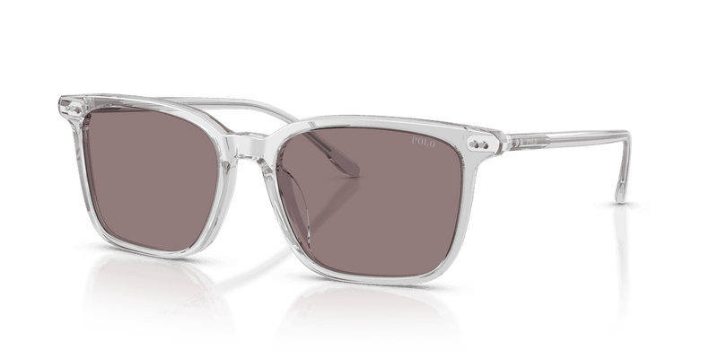 Polo Ralph Lauren PH4194U in Shiny Transparent Grey / Dark Purple (59587N) - Front View