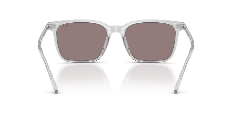Polo Ralph Lauren PH4194U in Shiny Transparent Grey / Dark Purple (59587N) - Alternate View