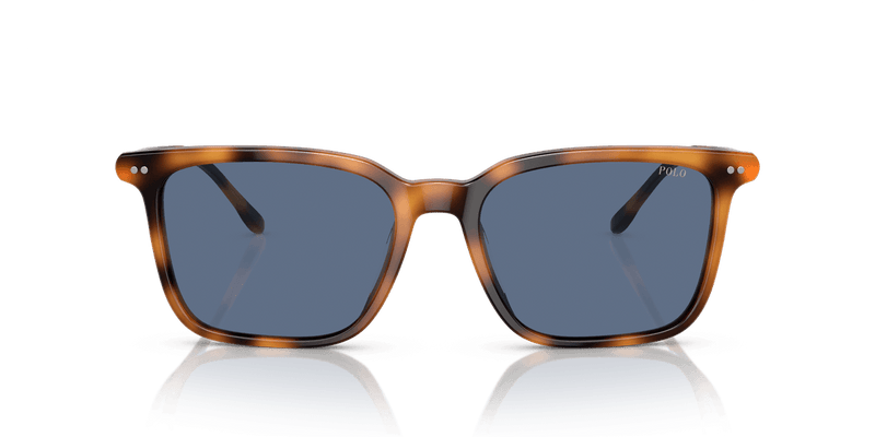 Polo Ralph Lauren PH4194U in Shiny Red Havana / Blue (608980) - Alternate View