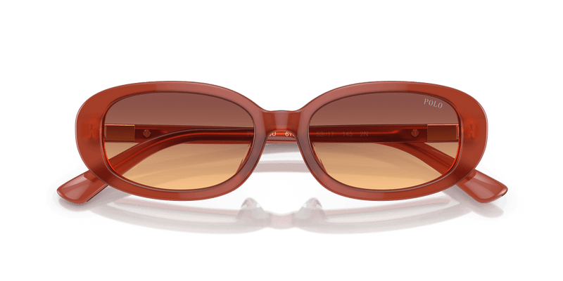 Polo Ralph Lauren PH4198U in Opal Cognac / Orange Gradient Violet (619478) - Alternate View