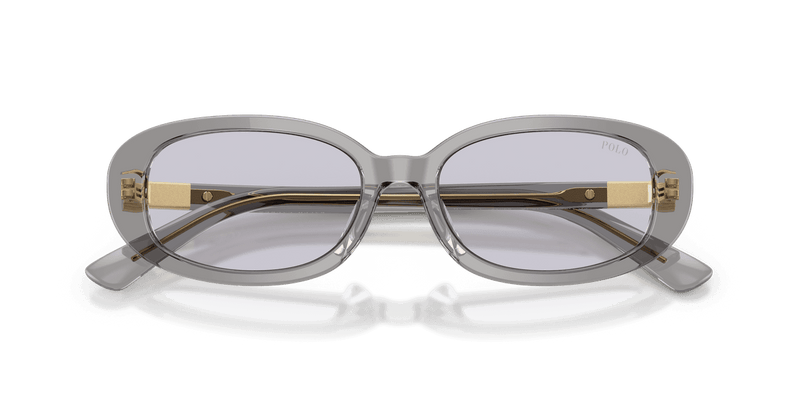 Polo Ralph Lauren PH4198U in Shiny Transparent Dark Grey / Lilac (63181A) - Alternate View