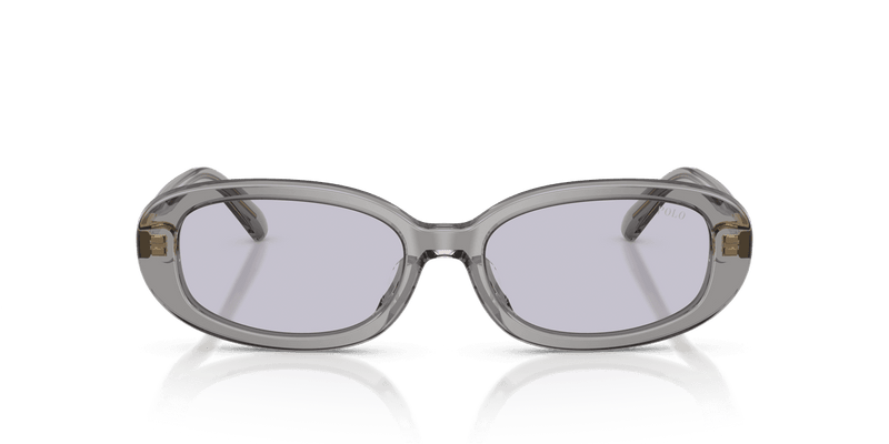 Polo Ralph Lauren PH4198U in Shiny Transparent Dark Grey / Lilac (63181A) - Alternate View