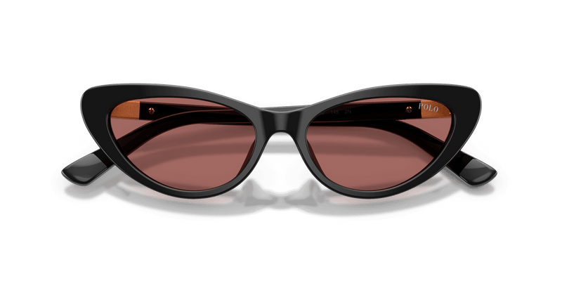 Polo Ralph Lauren PH4199U in Shiny Black / Dark Violet (500169) - Side View