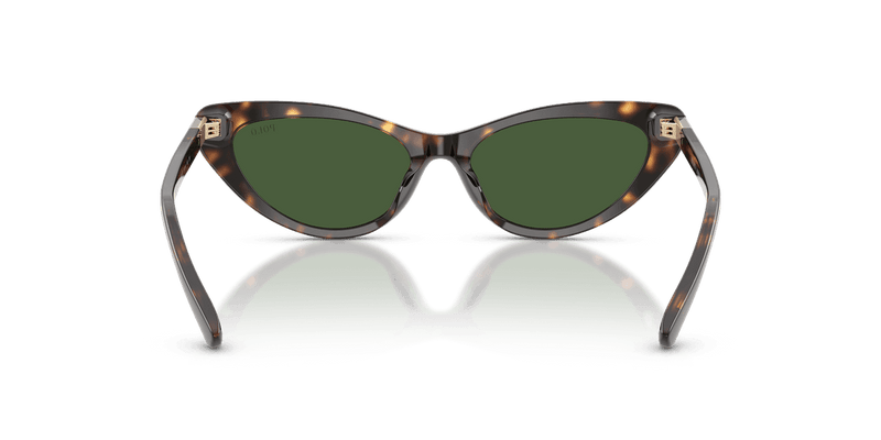 Polo Ralph Lauren PH4199U in Shiny Dark Havana / Bottle Green (500371) - Alternate View