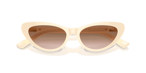 Shiny Cream / Gradient Brown (605713)
