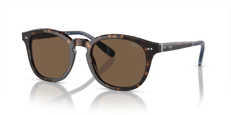 Polo Ralph Lauren PH4206 in Shiny Dark Havana / Brown (500373) - Alternate View